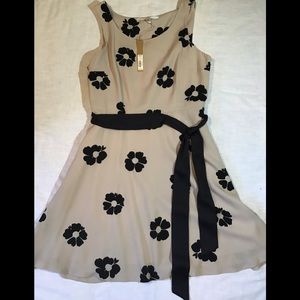 Women’s NWT size 12 sleeveless Lauren conrad dress